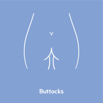 buttocks