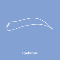 eyebrows