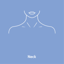 neck