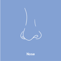 nose