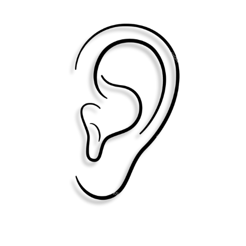 oreja.png